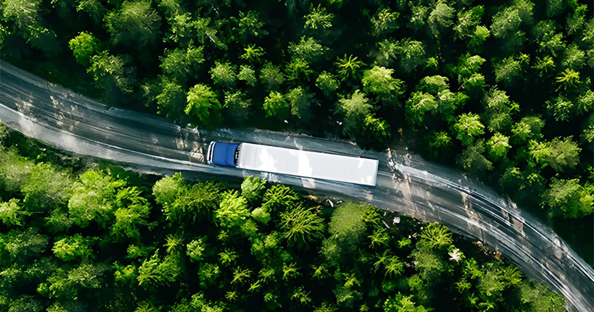 Landstar recognized as a sustainable leader
